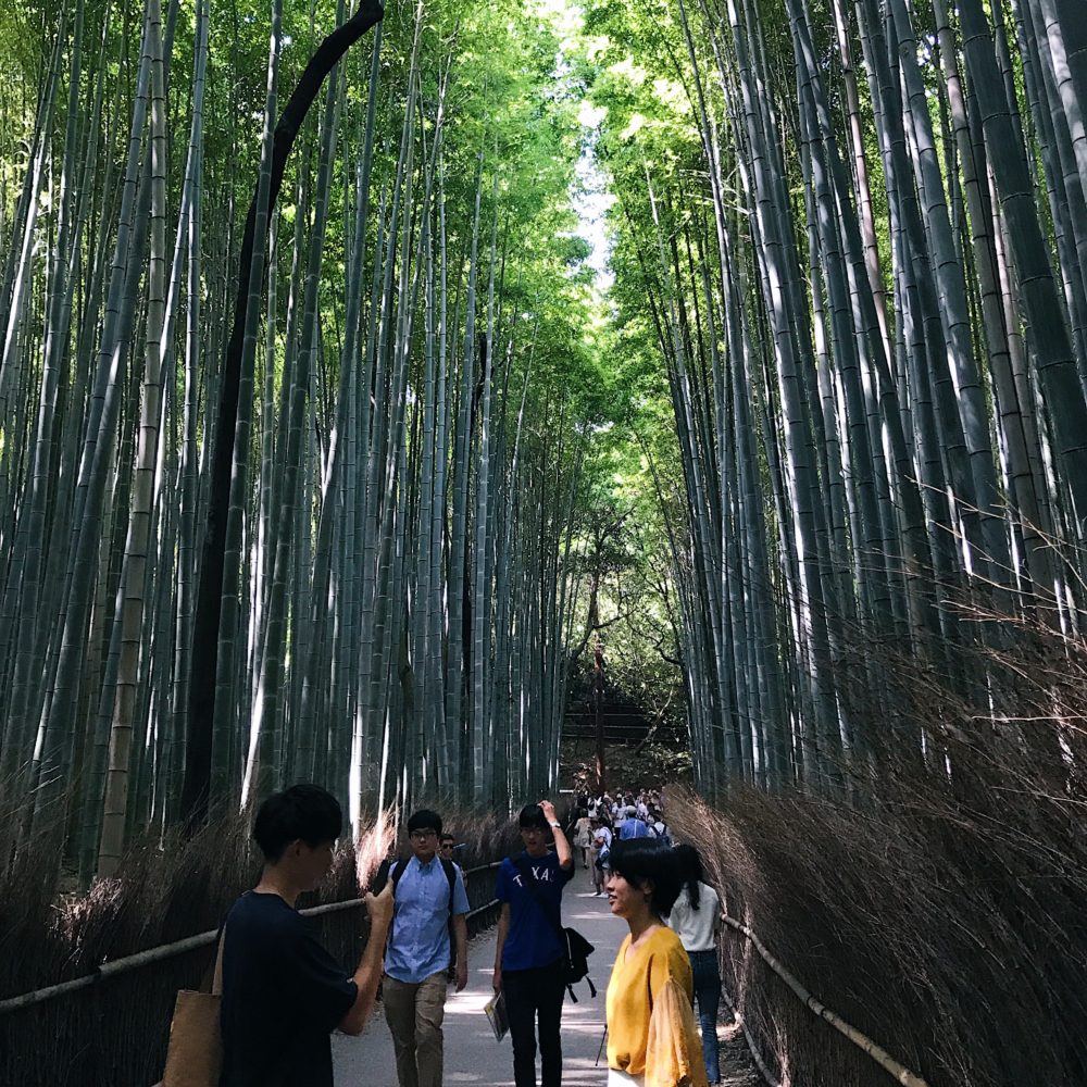 Crowd at Arashiyama Bamboo Forest (嵐山)