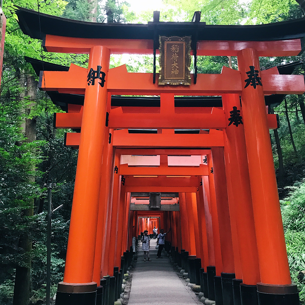 Fushimi Inari-Taisha (伏見稲荷大社) Tori