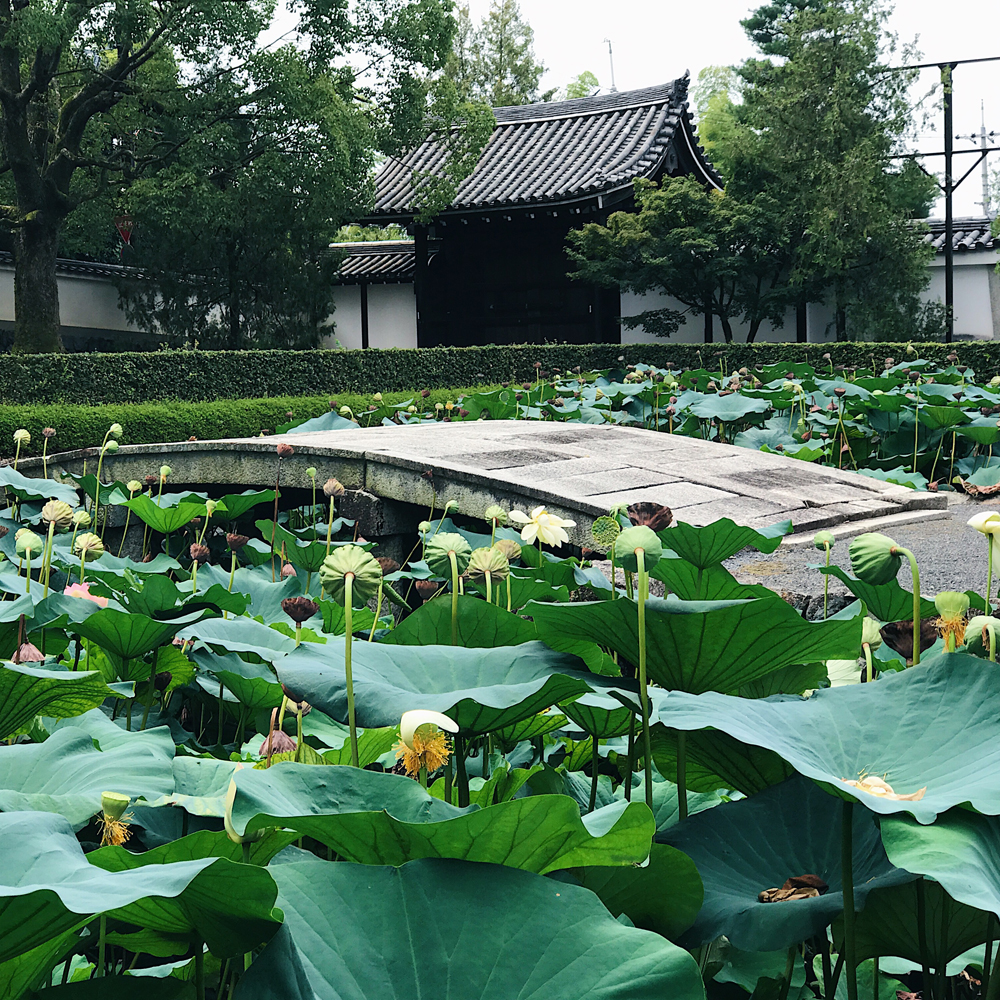 Tōfuku-ji (東福寺) Pond Garden