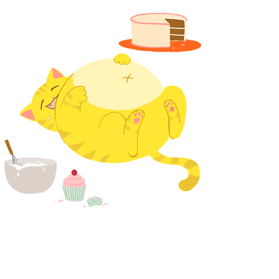 fattie cat with sweets